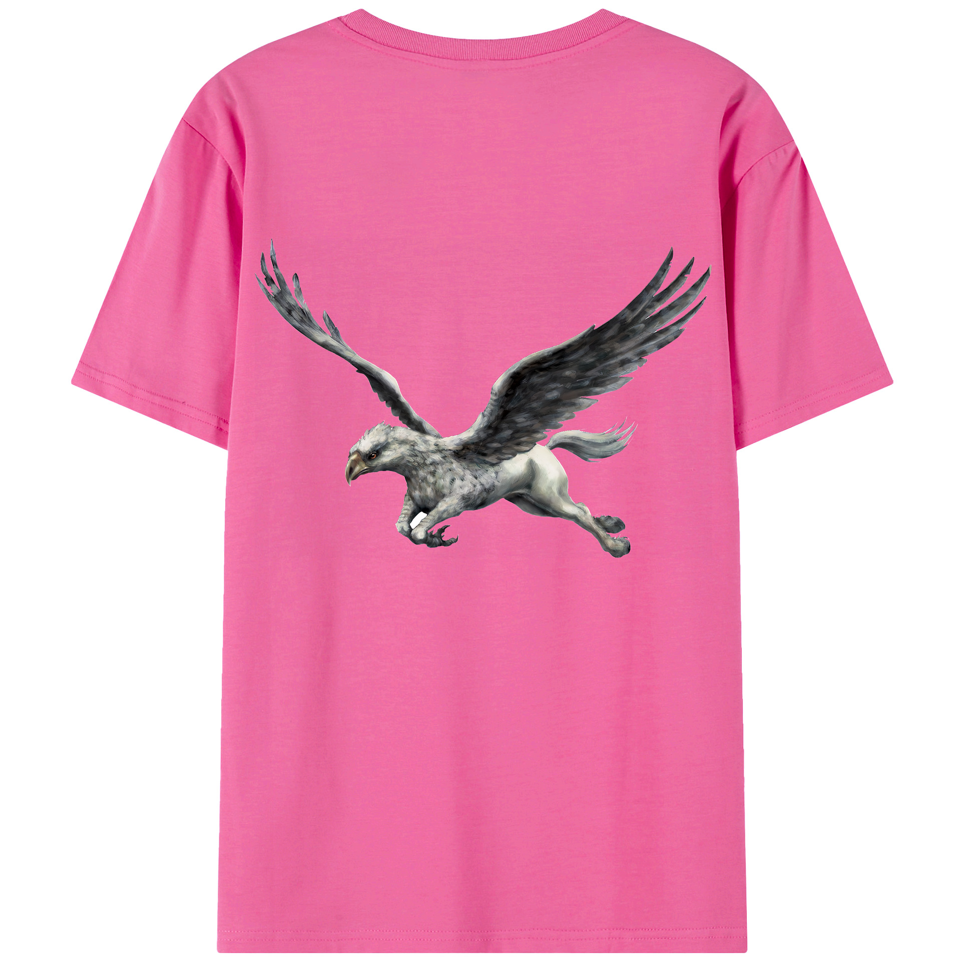 （画像用） Harry Potter ハリー・ポッターシリーズ レディース半袖Tシャツ(バックプリント)